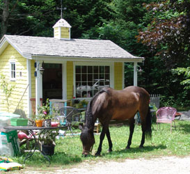 Wilder Woman Store